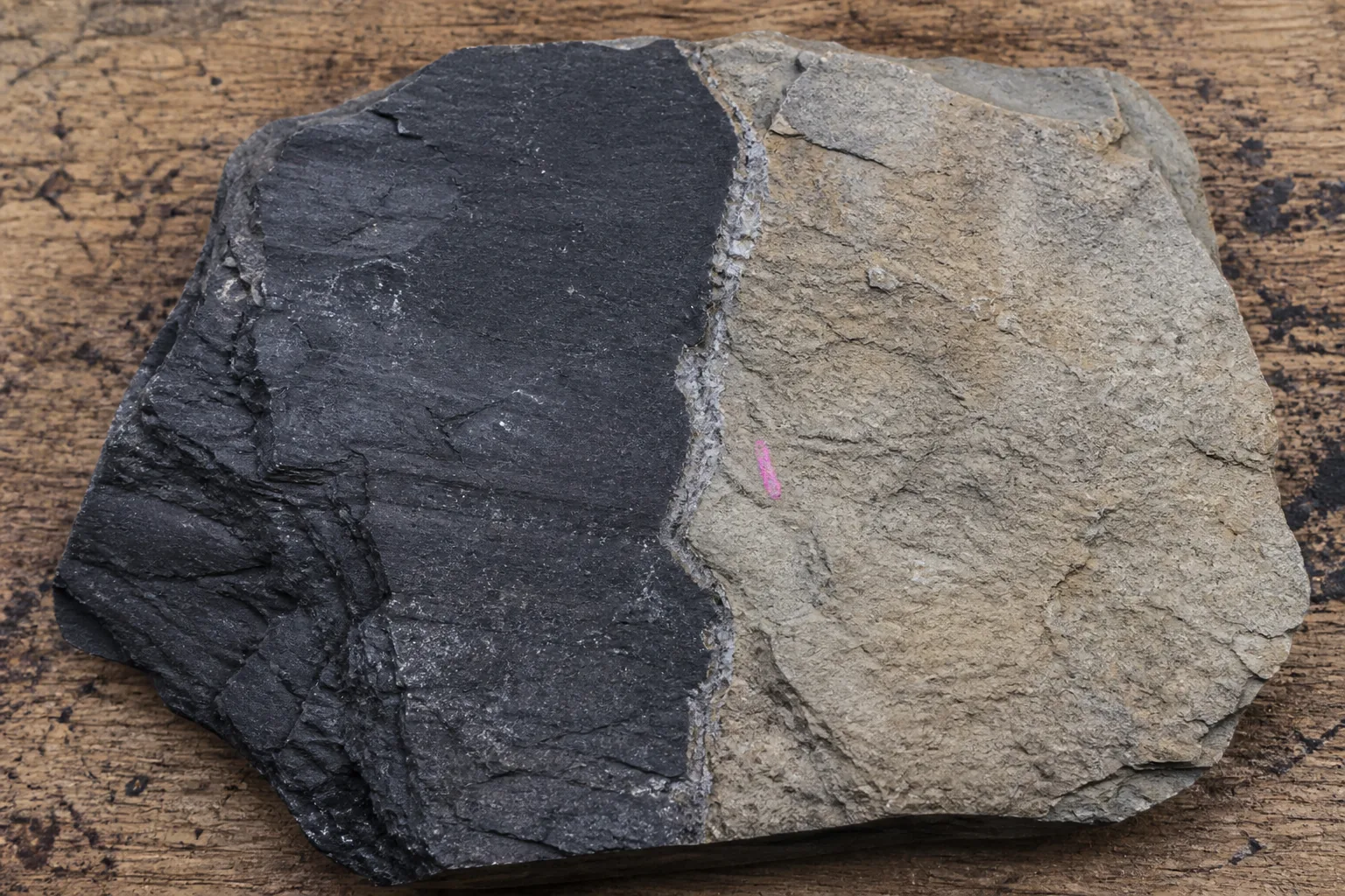 Slabbed shale-and-claystone hand specimen with mineral-filled contact